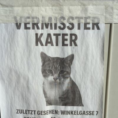 murderkroger@fouroclockfarms.club