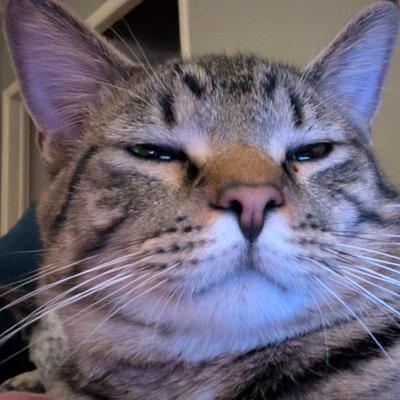 melkyway@fouroclockfarms.club